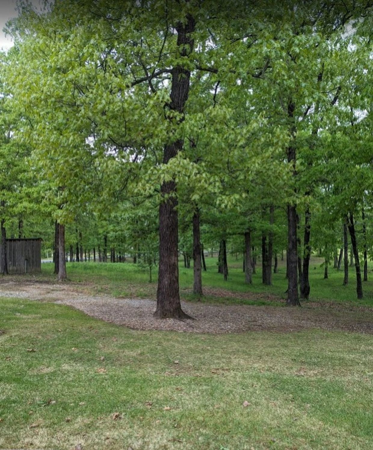 1710 Hilldale Road — wooded lot for sale in Bryant School District